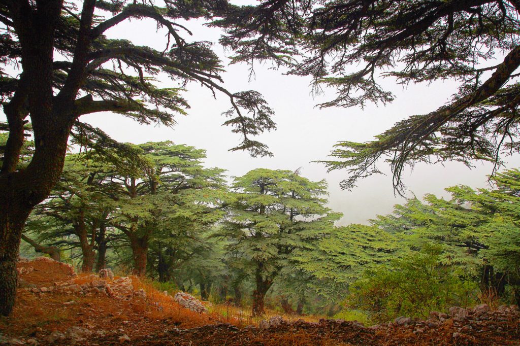 Things to Know When Traveling to Lebanon