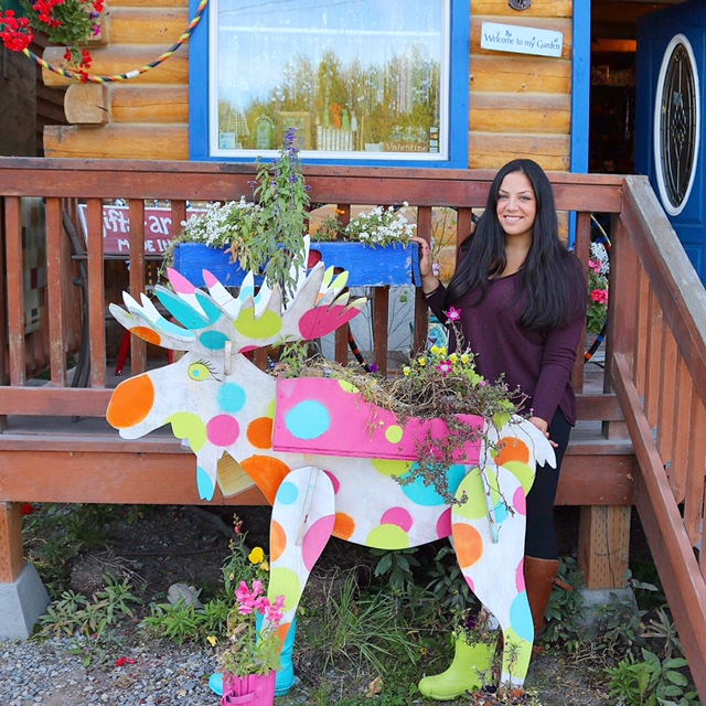5 Days In Alaska