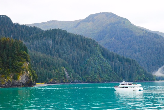 6 Reasons We Loved the Kenai Fjords National Park Cruise