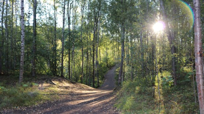 5 Days in Alaska Itinerary