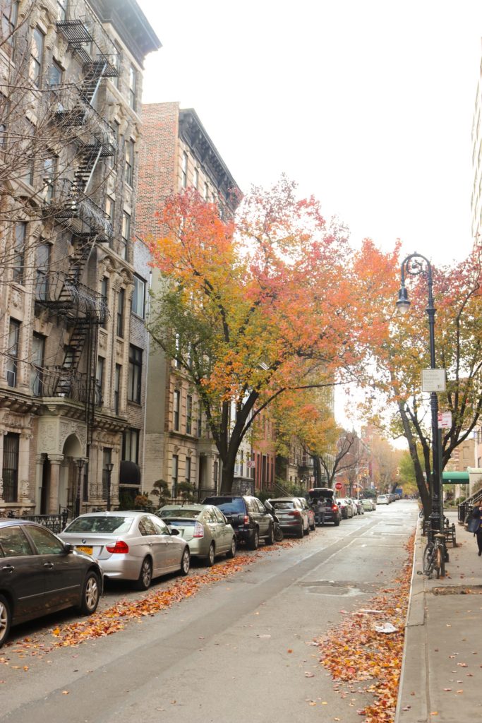 26 Things To Do in NYC