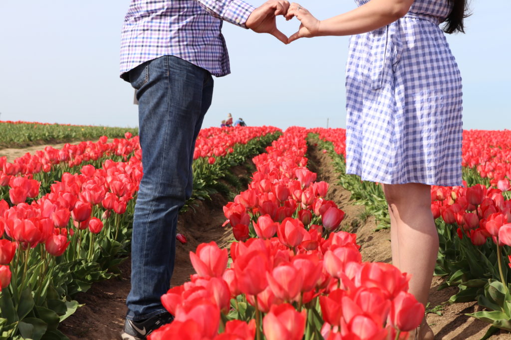 Photos to Inspire You to Visit a Tulip Field