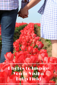 Photos to Inspire You To Visit a Tulip Field