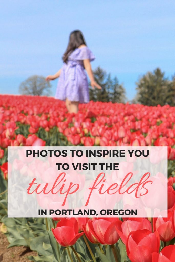 Photos to inspire you to visit the tulip fields at the Wooden Shoe Festival in Portland, Oregon, USA