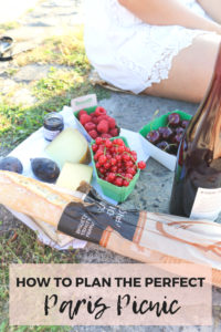How to plan the perfect Paris picnic along the seine or in Champ De Mars and where to source your market essentials in Paris' most famous market street: Rue Cler