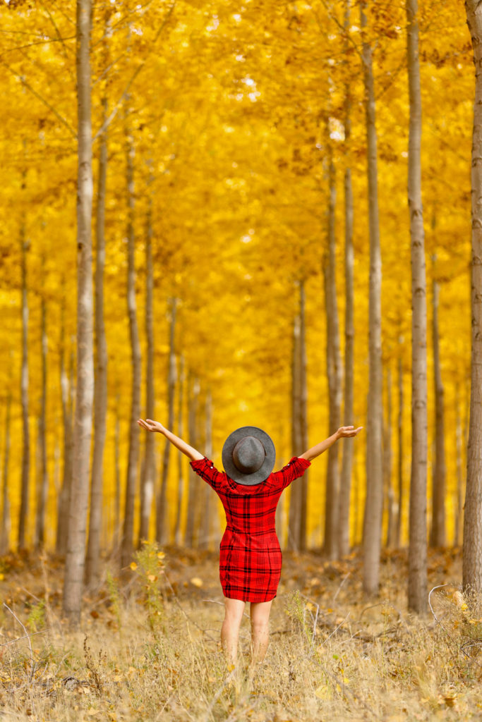 fall travel destinations