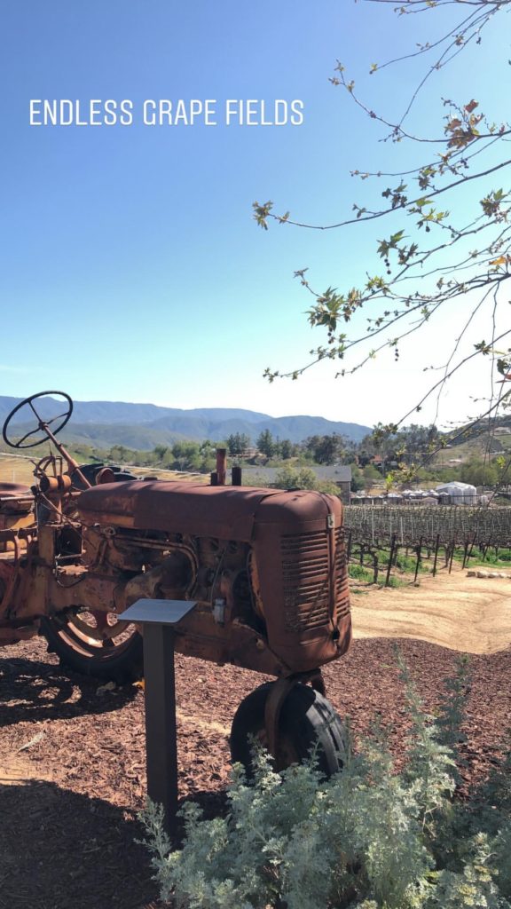 Best Wineries in Temecula and Things to do in Temecula