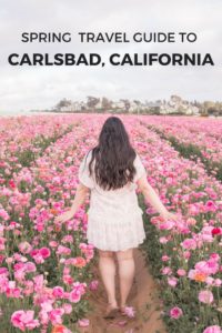 Spring travel guide to Carlsbad, California. Things to do, where to eat, where to stay