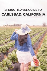 Spring travel guide to Carlsbad, California. Things to do, where to eat, where to stay