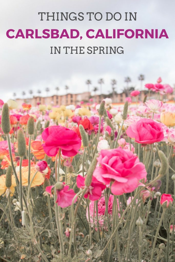 Things to do in Carlsbad, California in the spring