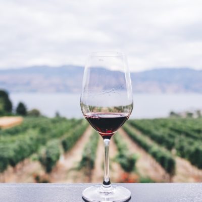 Best Wineries in Temecula & Other Things to Do in Temecula