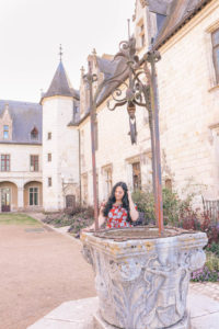 Chateau de Chaumont: castle in Loire Valley that inspired the Cinderella castle