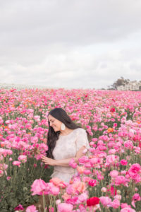 Carlsbad Flower Fields, things to do in the spring in Carlsbad