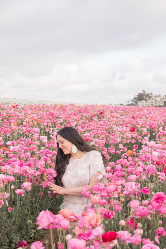 Carlsbad Flower Fields, things to do in the spring in Carlsbad