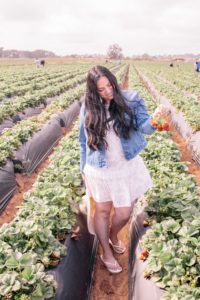 Fun spring activities in Carlsbad
