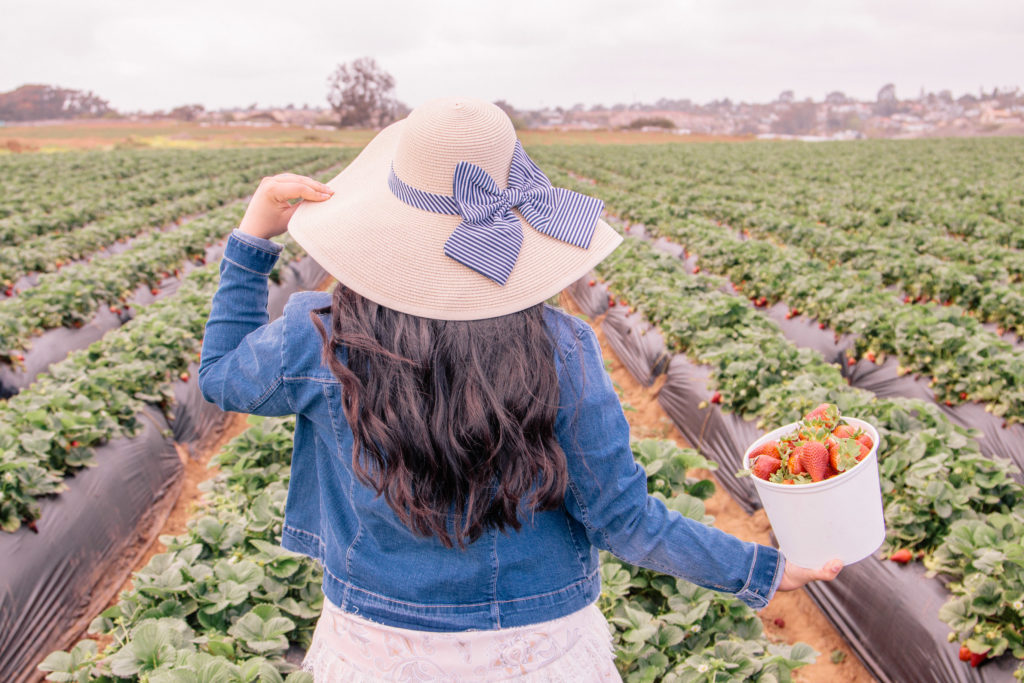 Spring Day Trip to Carlsbad