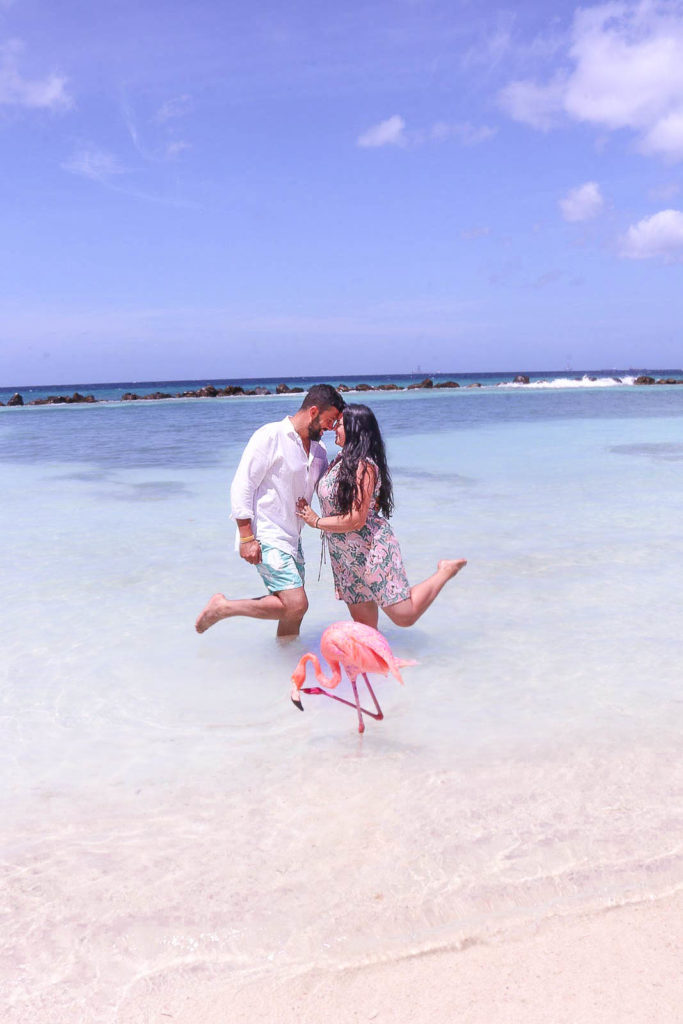 Romantic things to do on Aruba honeymoon or romantic getaway: Flamingo Beach