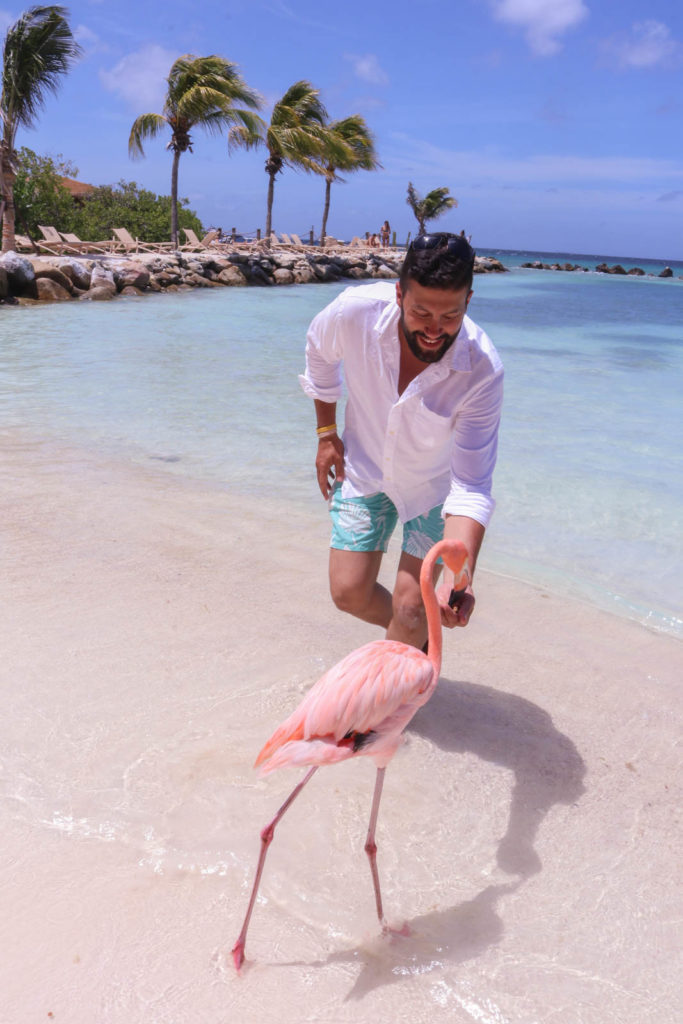 Romantic things to do on Aruba honeymoon or romantic getaway: Flamingo Beach