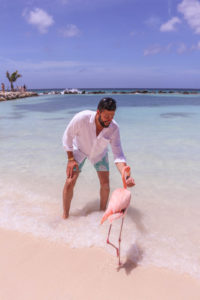 Romantic things to do on Aruba honeymoon or romantic getaway: Flamingo Beach