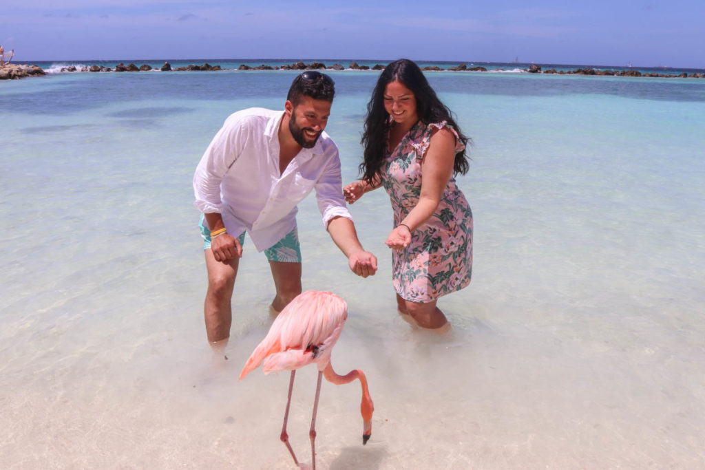 Flamingo Beach in Renaissance Island