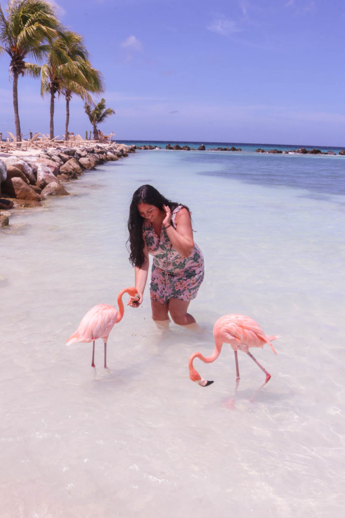 Romantic things to do on Aruba honeymoon or romantic getaway: Flamingo Beach