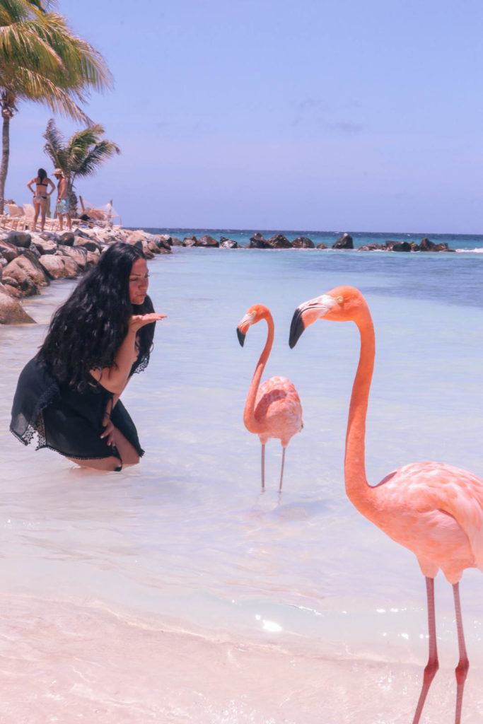 Romantic things to do on Aruba honeymoon or romantic getaway: Flamingo Beach